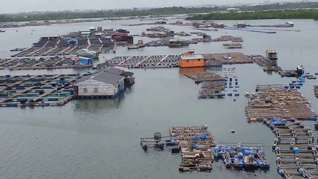 Làng bè trên sông Chà Và (xã Long Sơn, TP.Vũng Tàu) nơi người nuôi trồng thuỷ sản đang đứng ngồi không yên do thủy sản không có nơi tiêu thụ.