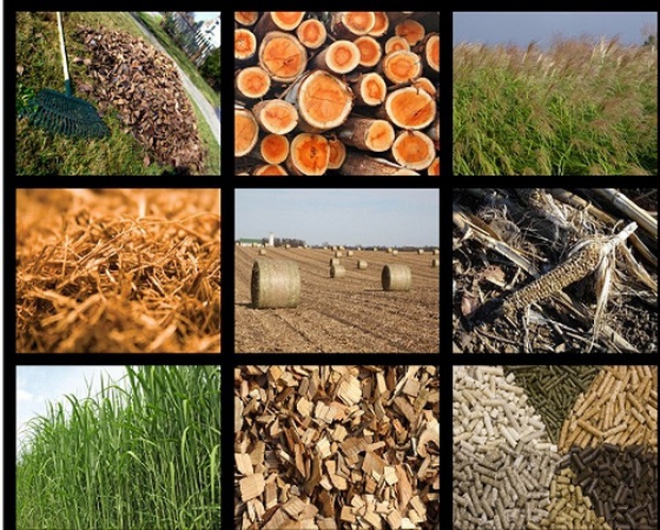 Phụ phẩm nông nghiệp: Nguồn tài nguyên được ví như “vàng” đang bị lãng phí.