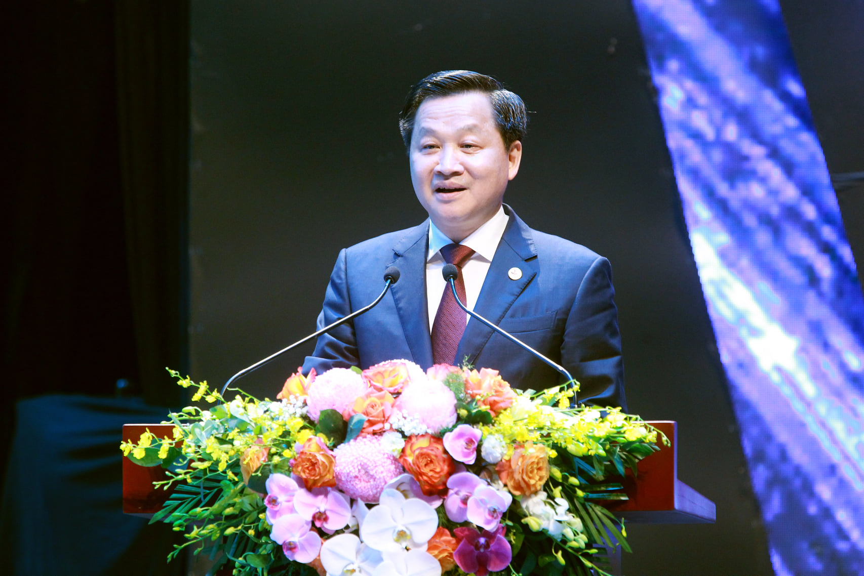 Phó Thủ tướng Lê Minh Khái phát biểu. 