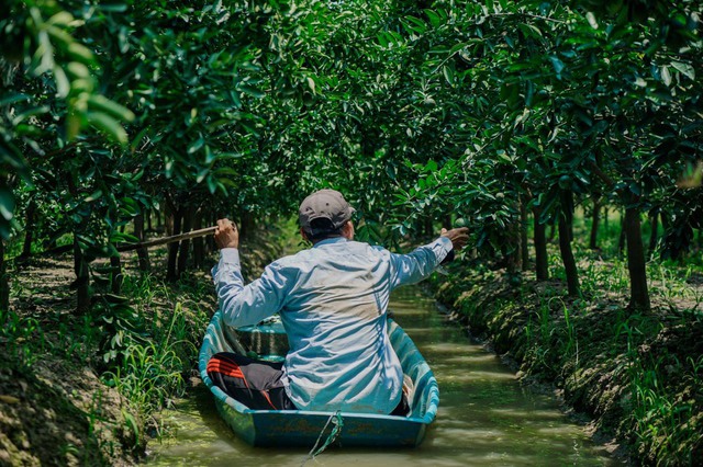 Koina, hệ sinh thái nông nghiệp Việt nhận đầu tư từ Glife Technology Singapore - Ảnh 3.