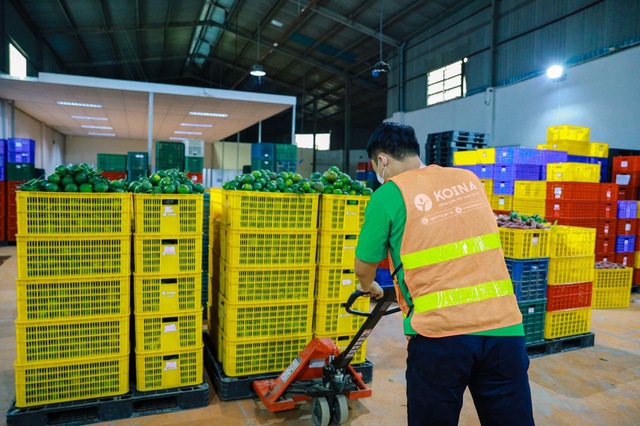 Koina, hệ sinh thái nông nghiệp Việt nhận đầu tư từ Glife Technology Singapore - Ảnh 1.