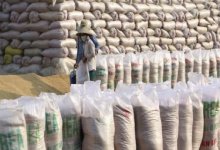 Bộ Công Thương kiểm tra 5 doanh nghiệp xuất nhập khẩu gạo
