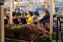 Người tiêu dùng Thái Lan thêm cơ hội mua hàng Việt Nam chất lượng cao 