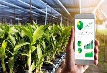 Chuyển đổi số nông nghiệp: Phải khơi thông "điểm nghẽn" trong đồng bộ dữ liệu