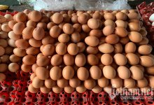 Trứng gia cầm ở chợ Hà Nội tăng giá mạnh, có nơi ‘cháy hàng’