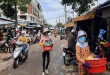 Kiên Giang: Tôm cua đặc sản ứ đọng không có người mua, nông dân bán tháo