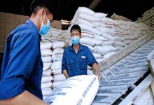 Nhà nhập khẩu “mách nước” cho nông sản Việt bám chắc thị trường quốc tế