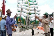 Xuất khẩu gạo thêm khó do cảng Tân Cảng Hiệp Phước tạm ngừng dịch vụ đóng rút gạo