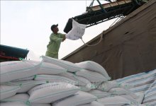 Cơ hội để doanh nghiệp xuất khẩu gạo sang thị trường Hàn Quốc