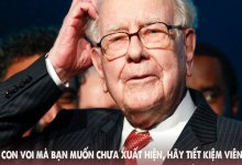  3 đạo lý là châm ngôn làm giàu của tỷ phú Warren Buffett: Kẻ càng phô trường sự thông minh thì càng dễ bị đánh gục! 