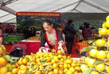Siết chặt quy định an toàn thực phẩm nhập khẩu, Trung Quốc không còn là thị trường dễ tính
