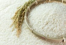 Xuất khẩu gạo dự báo tăng mạnh trong 6 tháng cuối năm 