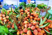 Để nông sản Việt chinh phục thị trường