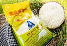 Doanh nghiệp xuất khẩu gạo: Nhiều thuận lợi nhưng thiếu vốn