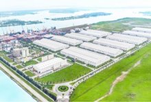 Cảng Chu Lai đẩy mạnh khai thác hàng xuất khẩu từ Lào