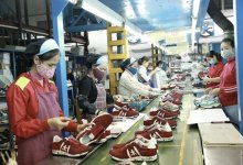 Hiệp định VIFTA mở thêm “cánh cửa” cho xuất nhập khẩu Việt Nam