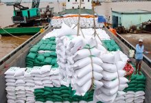 Kiến nghị giảm điều kiện đầu tư kinh doanh xuất khẩu gạo